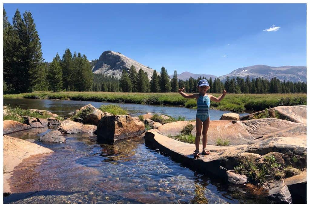 Tuolumne Meadows is another great area of Yosemite that is worth visiting. 