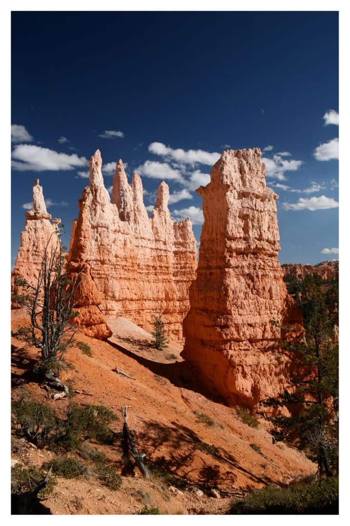 The unique rock formations of Bryce Canyon make it one of the best national parks in the west. 
