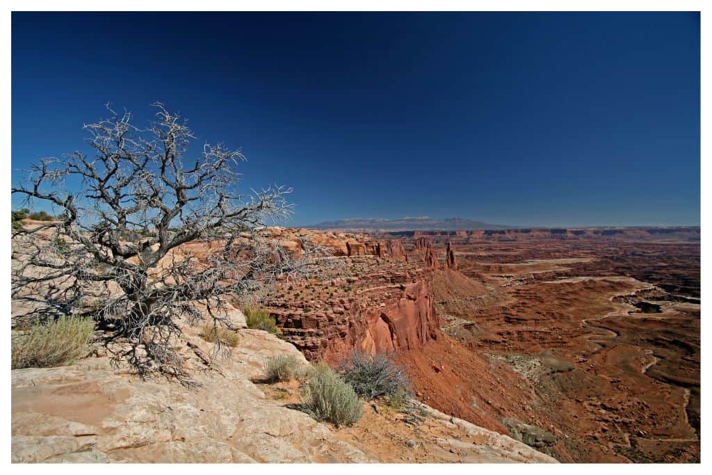 Canyon Lands vast landscapes help it make the list of the best national parks in the west. 