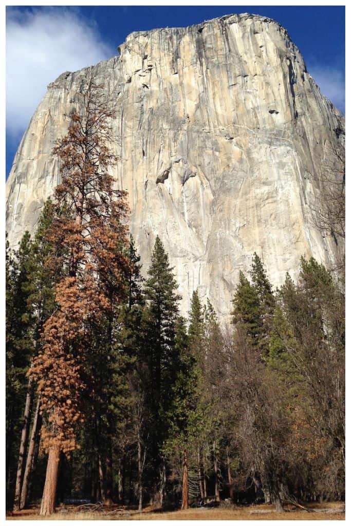 Yosemite's remarkable geologic features are one of the many things that make it worth visiting. 