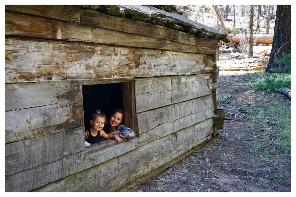 The general grant grove is one of the highlights of Kings Canyon National Park, with fallen trees turned into tunnels, and historic cabins, this is one of the best hikes for families in one of the best west coast national parks. 
