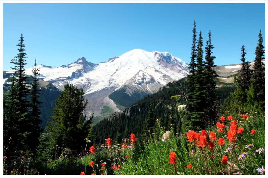 Mt Rainier's natural beauty earns it a spot on our list of the best west coast national parks. 