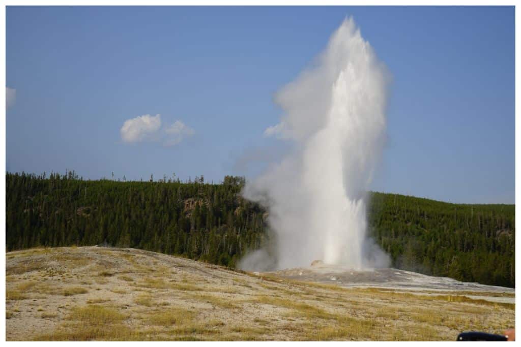 Old Faithful is one of the many unique geothermal features in Yellowstone. 
