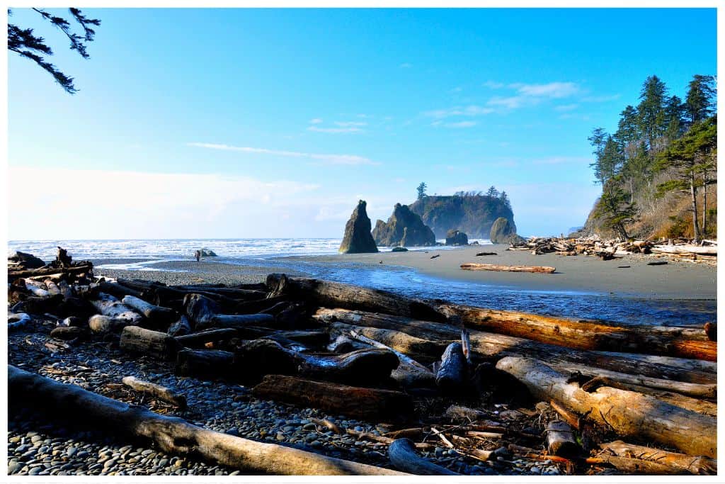 Olympic National Park is the most diverse of all parks on our list of the Best West Coast National Parks. 