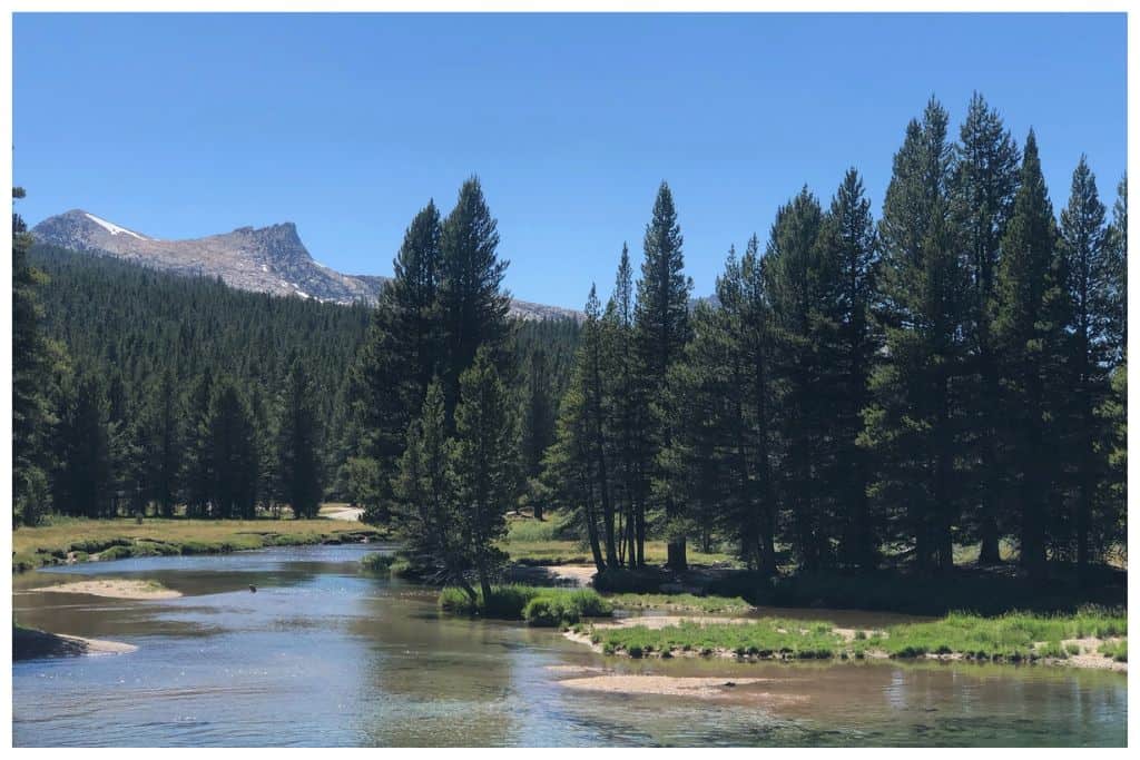 The abundance of things to do in Tuolumne Meadows make it worth at least a week long visit. 