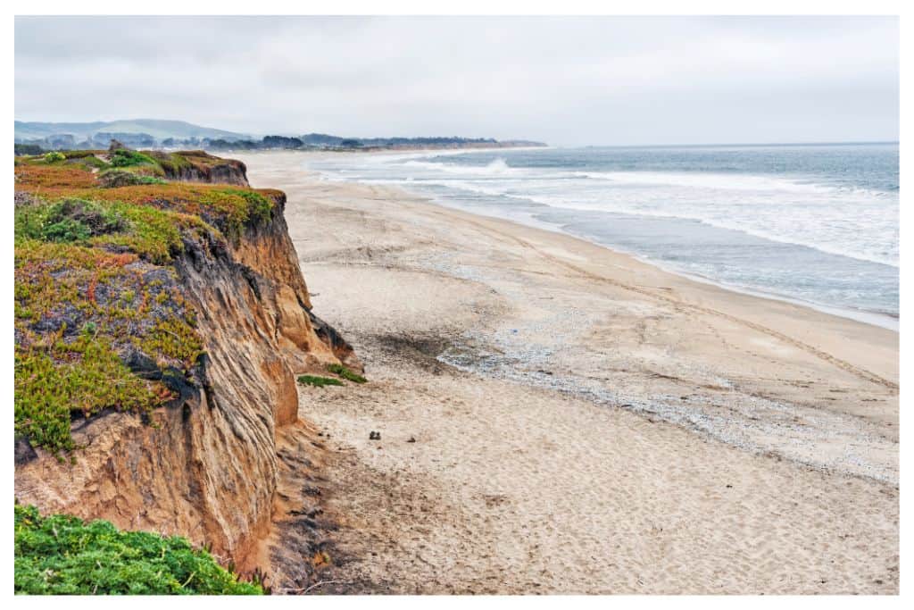 Half Moon Bay State Beach offers long stretches of sandy beaches for campers to enjoy. 