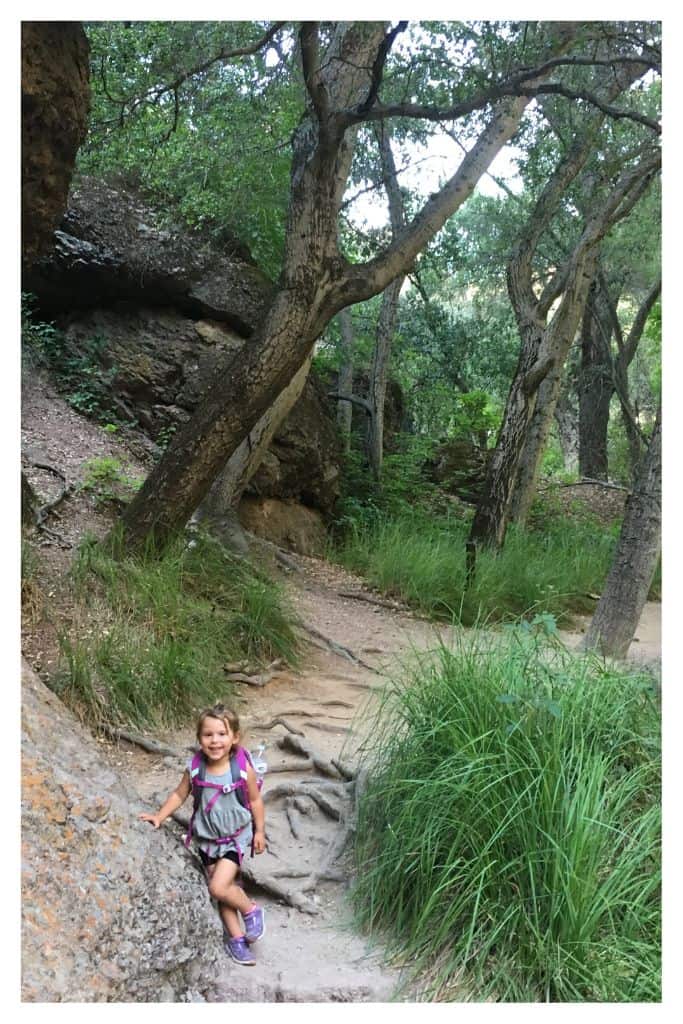 The Old Pinnacles to Balconies Trail is relatively flat and green. This makes it a great thing to do with kids in Pinnacles National Park. 
