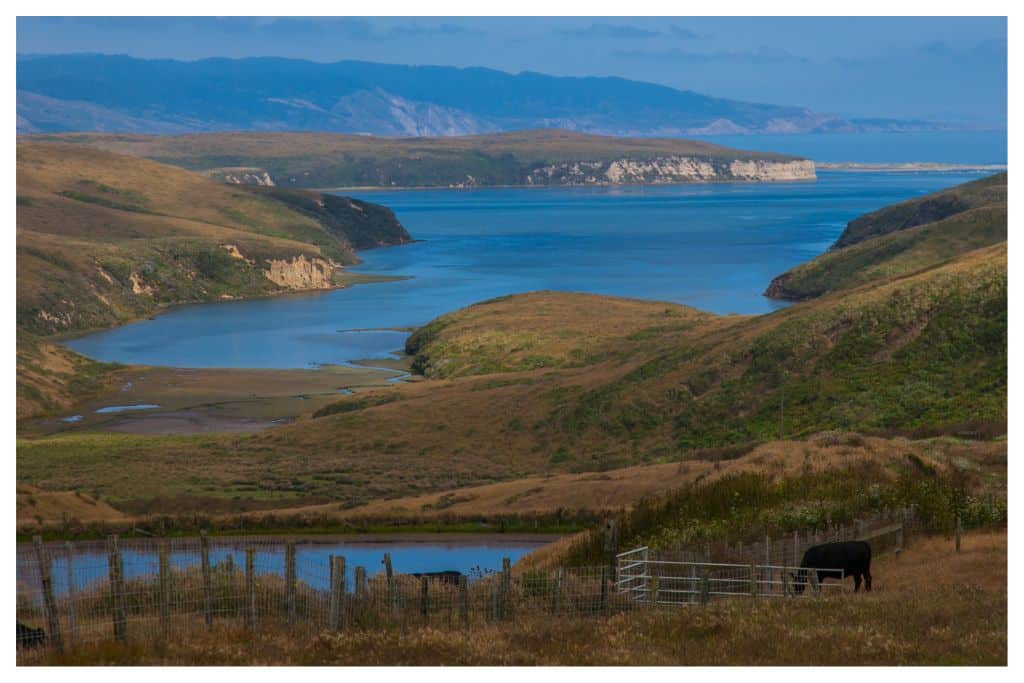 Point Reyes National Sea Shore is an excellent camping destination in the Bay Area
