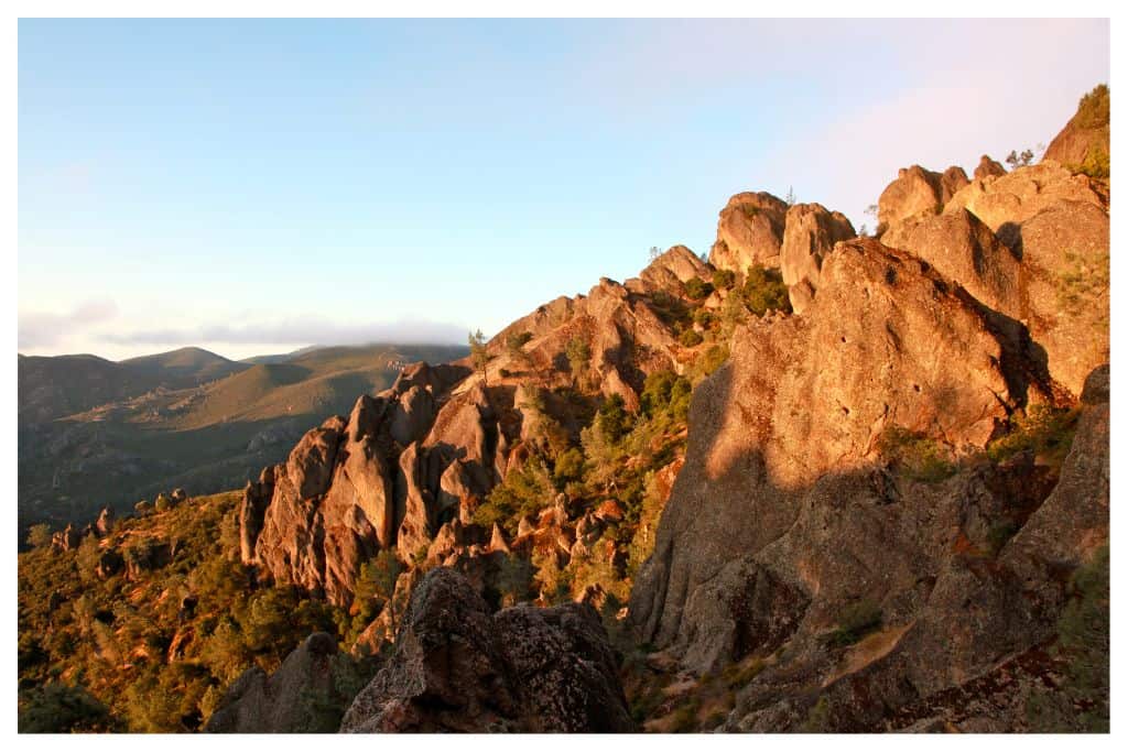 The unique jagged peaks of the Pinnacles are the national parks primary draw. 