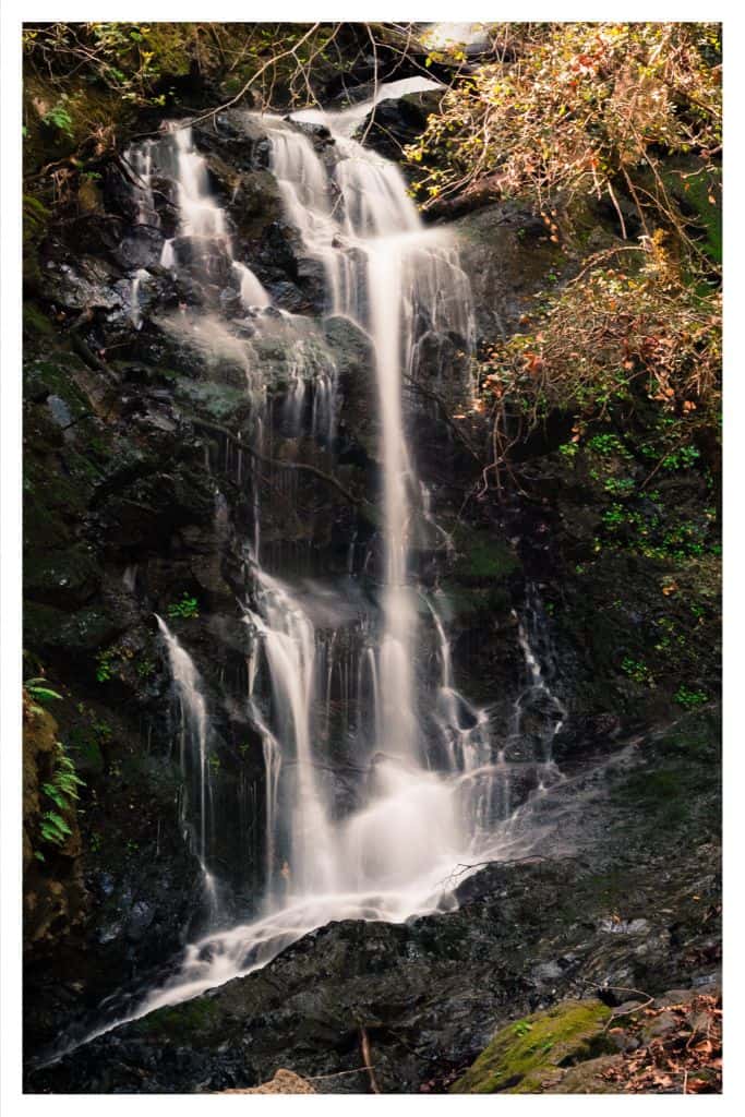 Uvas Canyon is home to a variety of beautiful waterfalls which is what makes it one of the best bay area car camping destinations. 