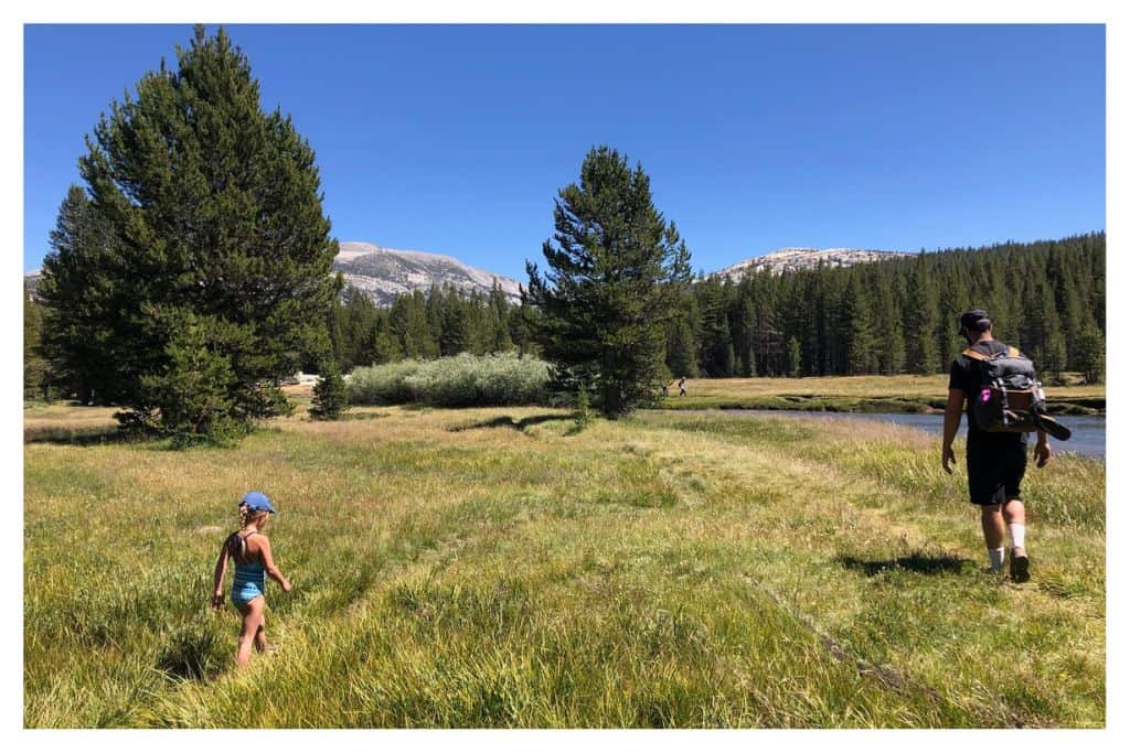 The hike to Soda Springs in Tuolumne Meadows is a great family option in Yosemite. 