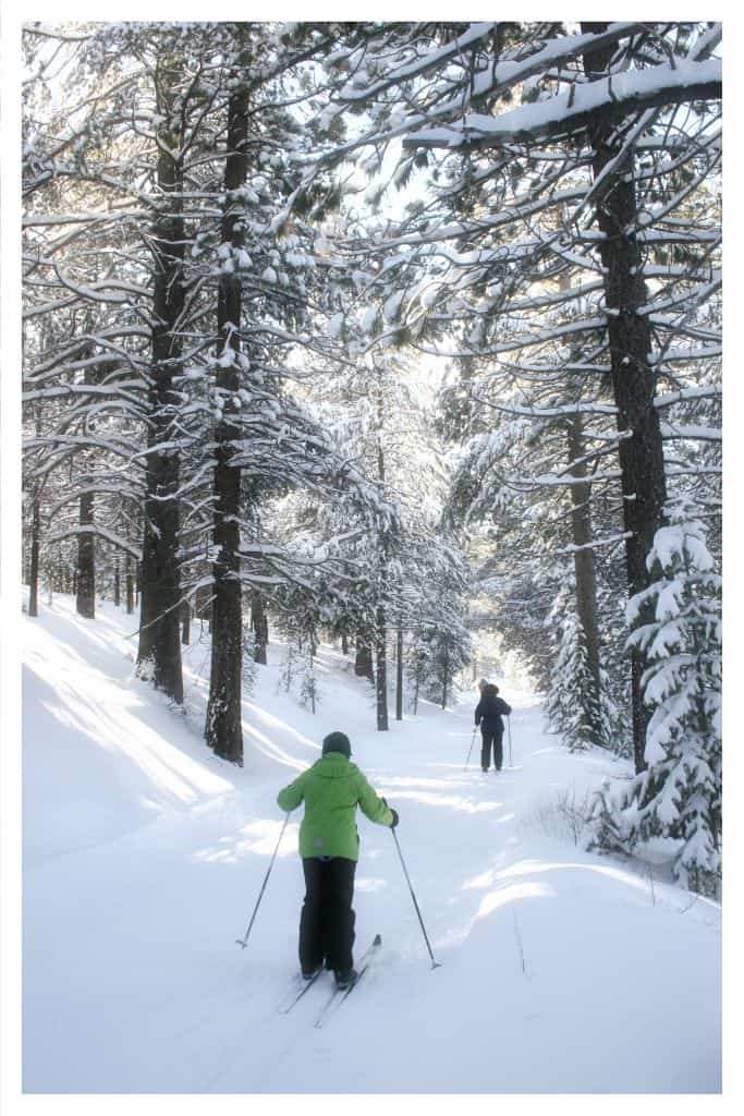 Cross country skiing on a snow covered trail. 