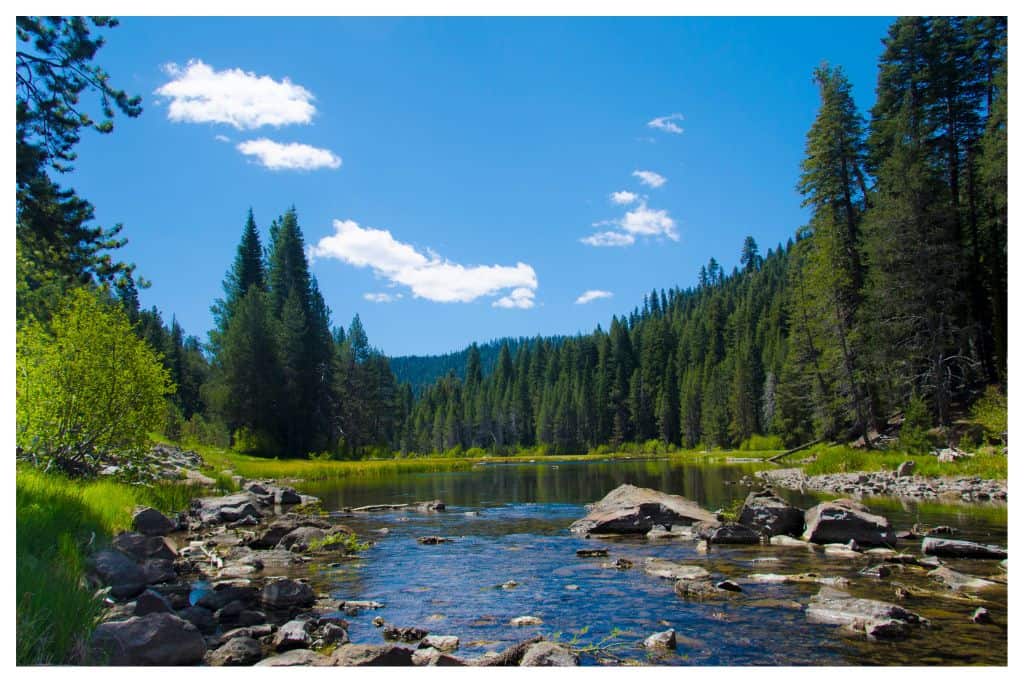The Truckee River, is calm as is leaves the lake and is a great place to go for a float with your family. 