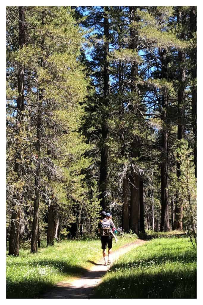 Hiking through Yosemite. The abundance of great hikes is one of the many things that may make you choose Yosemite when considering Lake Tahoe Vs Yosemite for your family vacation. 